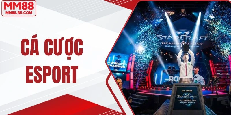 Cá Cược Esport - Khám Phá Sân Chơi Thể Thao Mới Cùng MM88